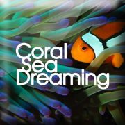 (c) Coralseadreaming.com